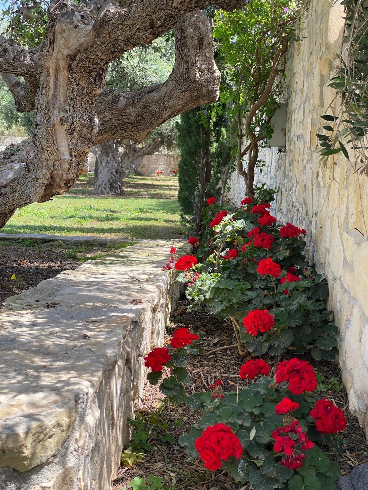 Villa Marmelada Ierápetra Esterno foto